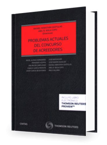 PROBLEMAS ACTUALES DEL CONCURSO DE ACREEDORES